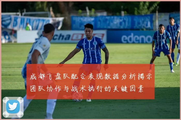成都飞盘队配合表现数据分析揭示团队协作与战术执行的关键因素