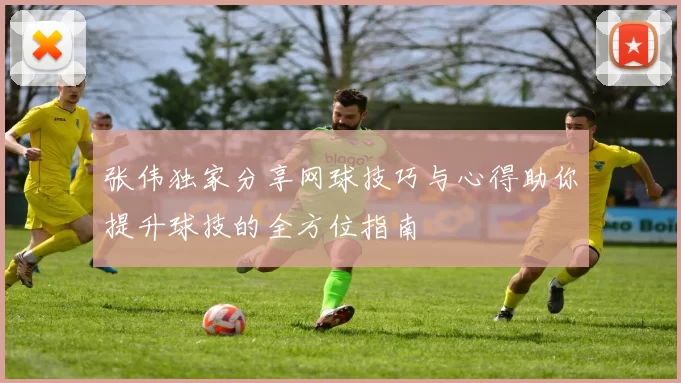 张伟独家分享网球技巧与心得助你提升球技的全方位指南