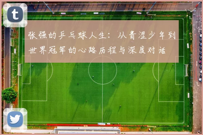 张强的乒乓球人生：从青涩少年到世界冠军的心路历程与深度对话
