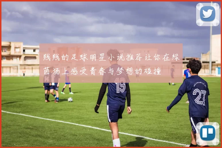 贱贱的足球明星小说推荐让你在绿茵场上感受青春与梦想的碰撞