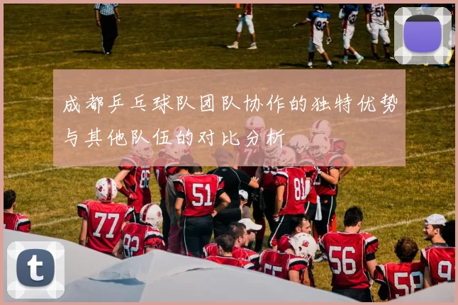 成都乒乓球队团队协作的独特优势与其他队伍的对比分析