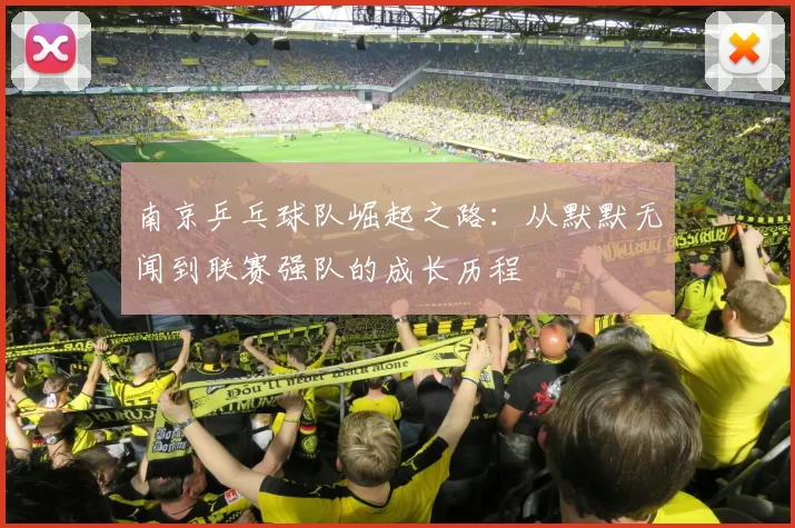 南京乒乓球队崛起之路：从默默无闻到联赛强队的成长历程