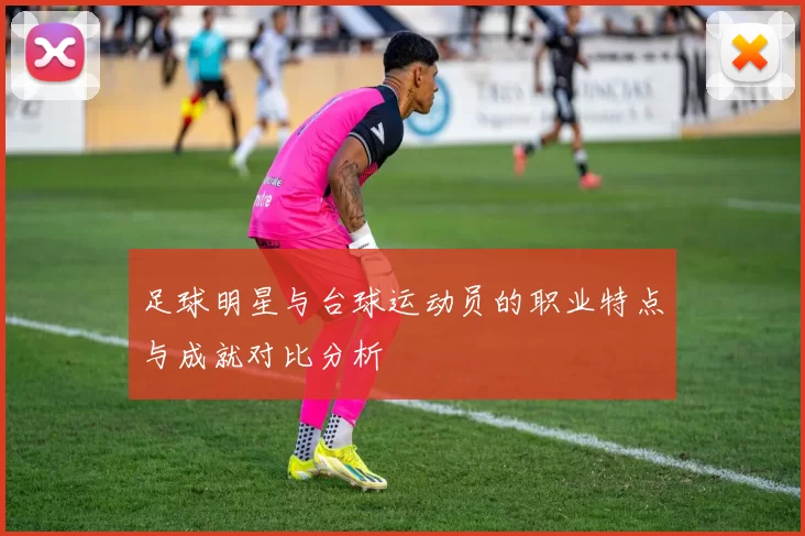 足球明星与台球运动员的职业特点与成就对比分析