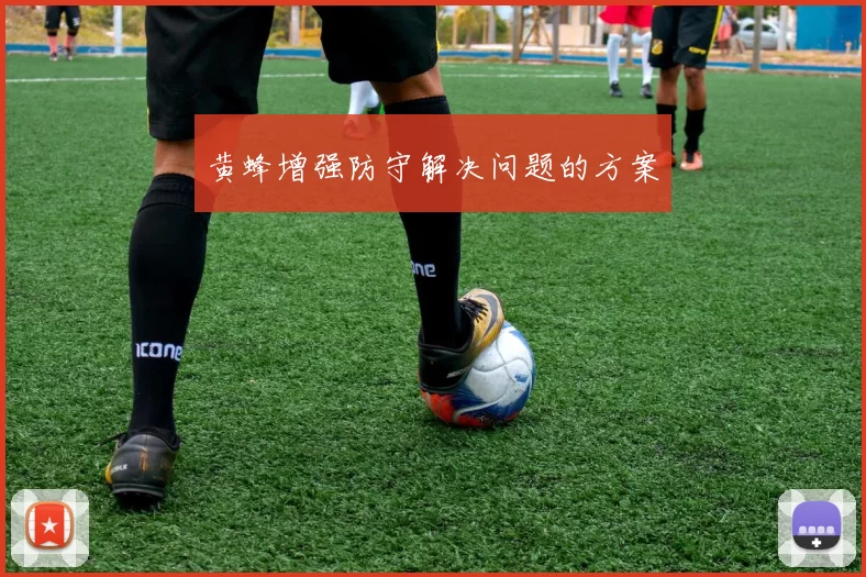 黄蜂增强防守解决问题的方案