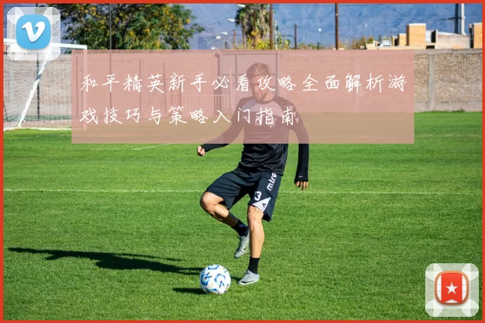 和平精英新手必看攻略全面解析游戏技巧与策略入门指南