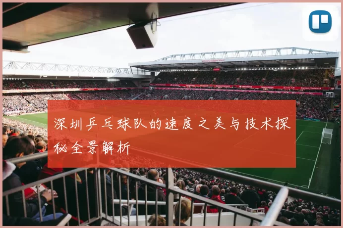 深圳乒乓球队的速度之美与技术探秘全景解析