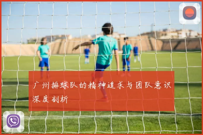 广州排球队的精神追求与团队意识深度剖析