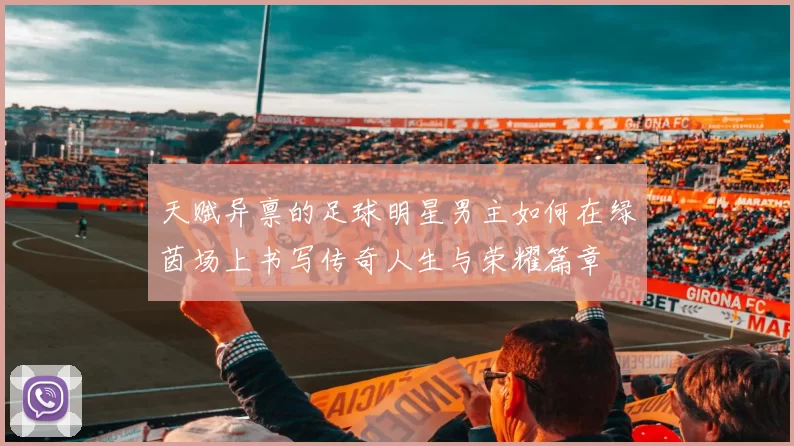 天赋异禀的足球明星男主如何在绿茵场上书写传奇人生与荣耀篇章