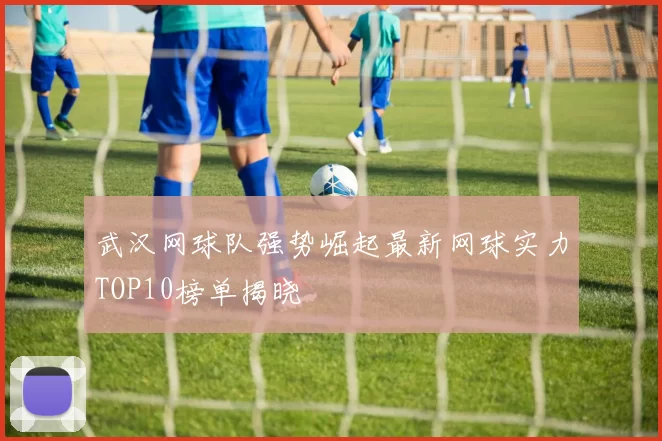 武汉网球队强势崛起最新网球实力TOP10榜单揭晓