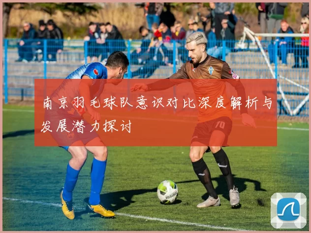 南京羽毛球队意识对比深度解析与发展潜力探讨