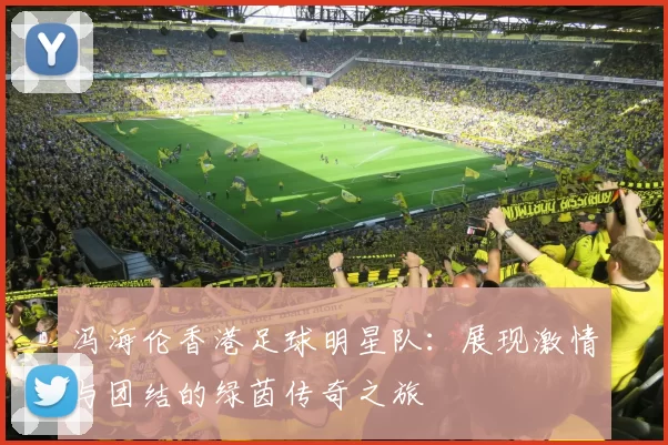 冯海伦香港足球明星队：展现激情与团结的绿茵传奇之旅