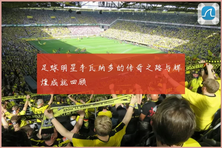 足球明星李瓦纳多的传奇之路与辉煌成就回顾