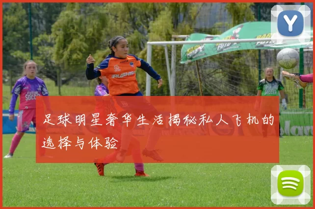 足球明星奢华生活揭秘私人飞机的选择与体验