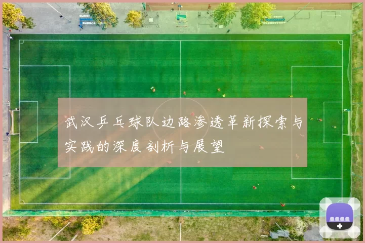 武汉乒乓球队边路渗透革新探索与实践的深度剖析与展望