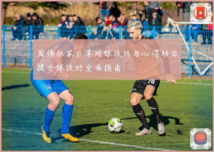 周伟独家分享网球技巧与心得助你提升球技的全面指南